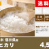 コシヒカリ　福井県　関西米穀
